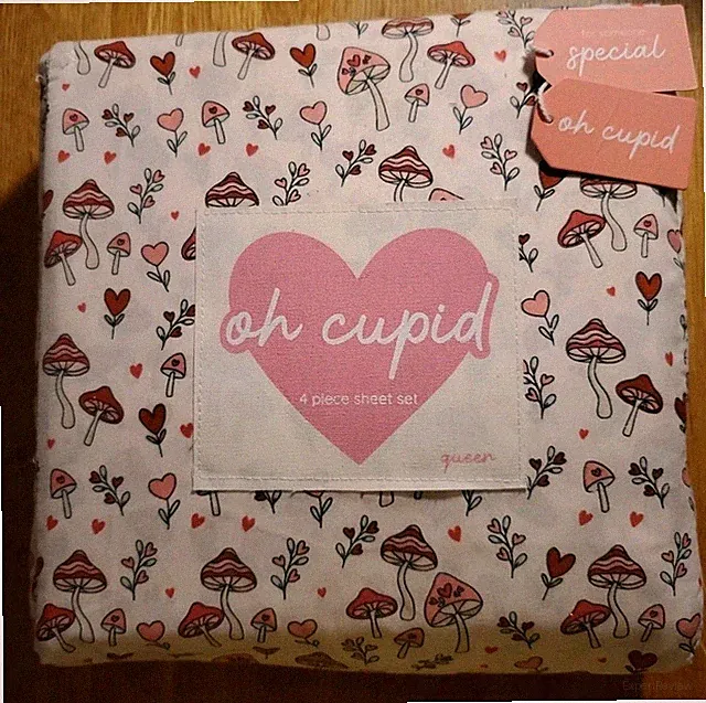 Oh Cupid Valentine's Day Queen 4pc Sheet Set Love & Mushrooms with Hearts